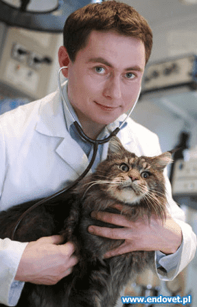 GABINET WETERYNARYJNY ENDOVET WOJCIECH KOWALCZYK