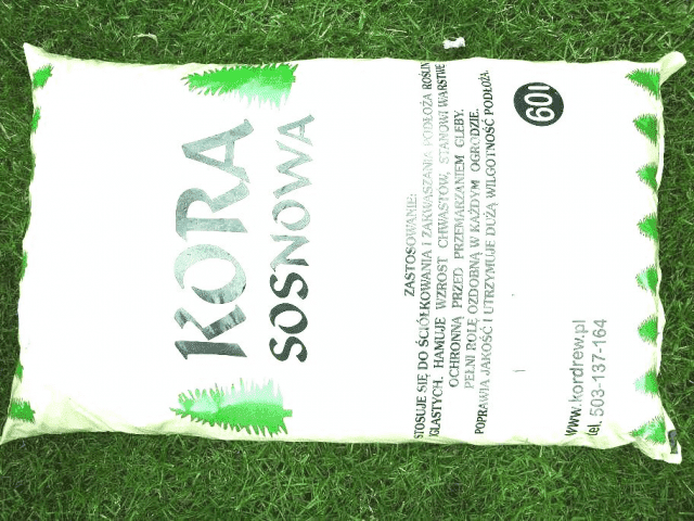 KOR-DREW DARIUSZ SĘDEK