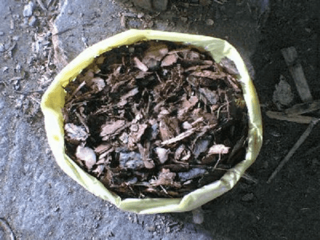 KOR-DREW DARIUSZ SĘDEK