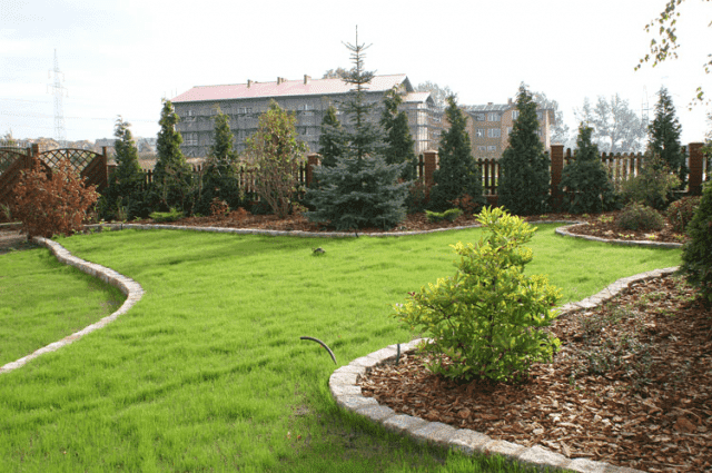 KOR-DREW DARIUSZ SĘDEK