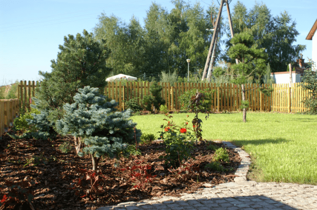 KOR-DREW DARIUSZ SĘDEK