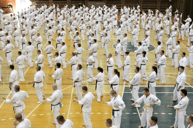 Warszawski Klub KYOKUSHIN Karate