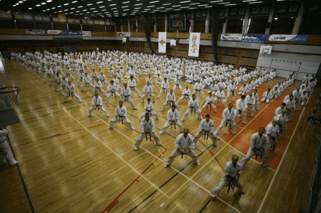 Warszawski Klub KYOKUSHIN Karate
