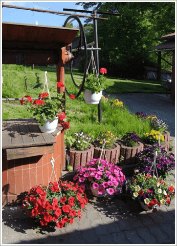 Klochkwiat gospodarstwo ogrodnicze Teresa i Paweł Kloch