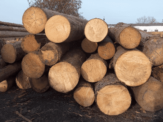 Hasiec Dariusz  Tartak "INTERHAS"