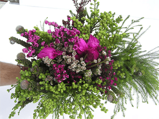 Hurtownia Kwiatów EMKA Mirosław Ogrodowski