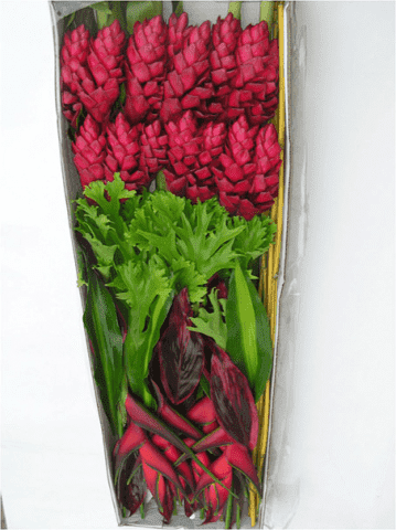 Hurtownia Kwiatów EMKA Mirosław Ogrodowski