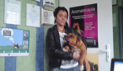 	LECZNICA DLA ZWIERZĄT LEK. WET. EWA STOPA