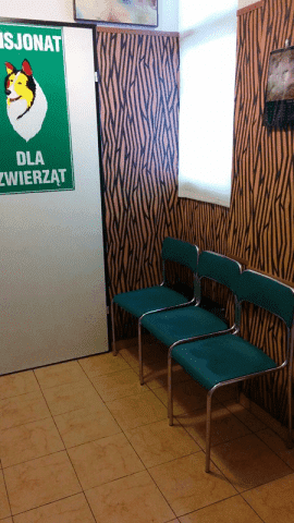 Pensjonat i Hotel Dla Zwierząt JOKO Gabinet Weterynaryjny SAN WET lek wet Andrzej Książyk
