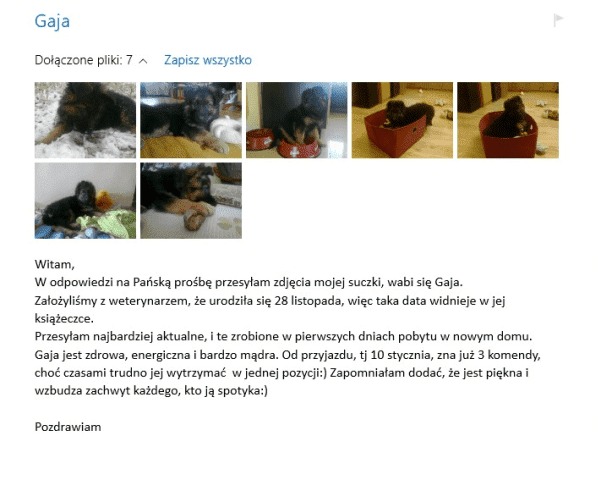 Hodowla Haon Owczarki Niemieckie Radosław Dawidowski