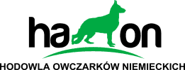 Hodowla Haon Owczarki Niemieckie Radosław Dawidowski