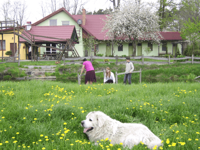 Agroturystyka "Hacjenda Pod Dębami" Bednarek Z.J.