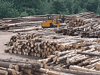 Przedsiębiorstwo Przetwórstwa Drzewnego "GRÓDKÓW" Sp. z o.o.