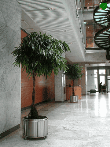 GREEN STUDIO Sp. z o.o.