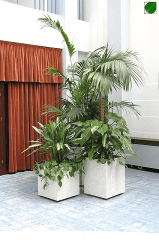 GREEN STUDIO Sp. z o.o.