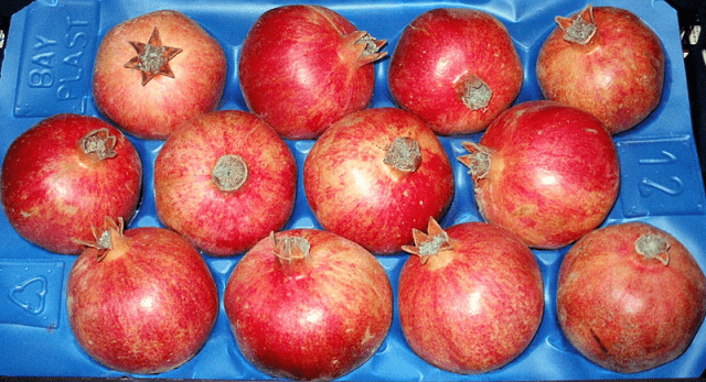 GRUPA IMPERIUM SPÓŁKA Z OGRANICZONĄ ODPOWIEDZIALNOŚCIĄ