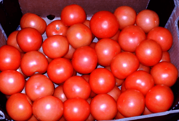 GRUPA IMPERIUM SPÓŁKA Z OGRANICZONĄ ODPOWIEDZIALNOŚCIĄ