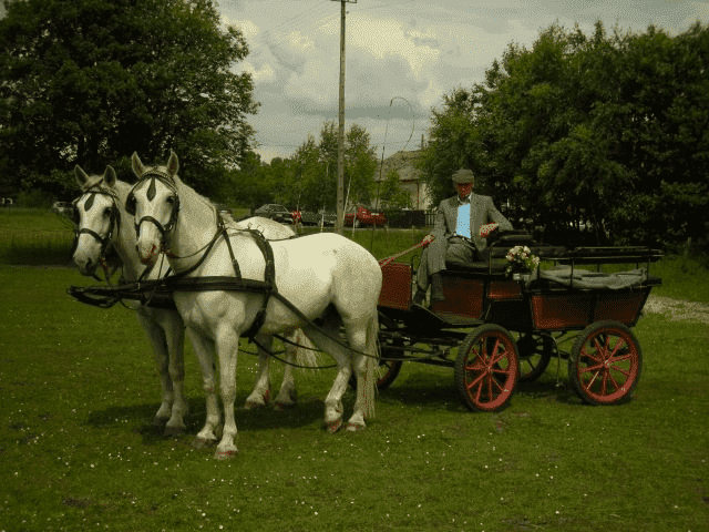 ZBYSZYŃSKA ANNA "GOSPODA POD KASZTANEM"