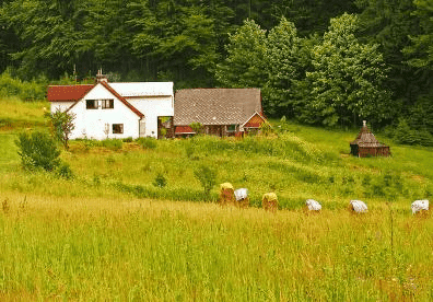 Chata Gościnna Jaworzynka