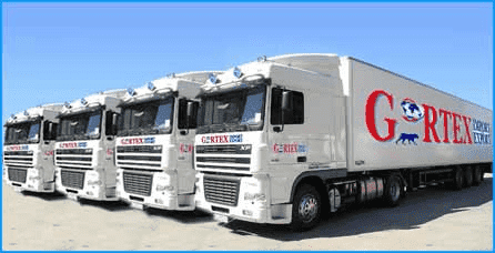 GORTEX Import Export Adam Górski