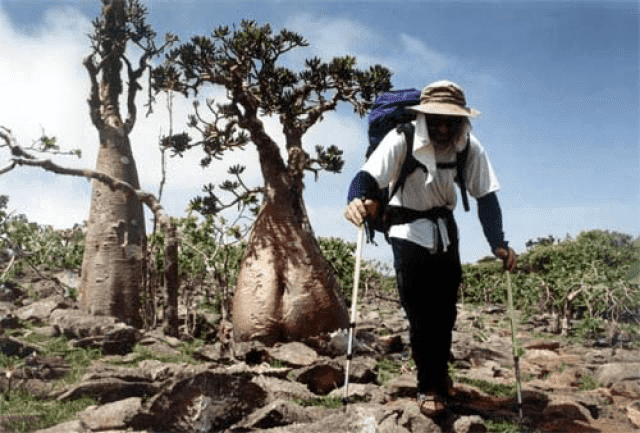 "Gibsport"Sławomir Gibała