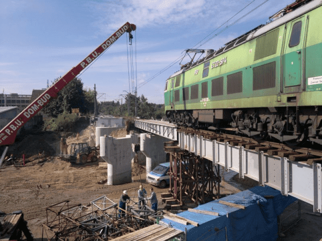 GeoSat Stanisław Borys Dwornik