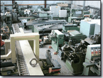 GAMEL Sp.j. Leon Gniewek