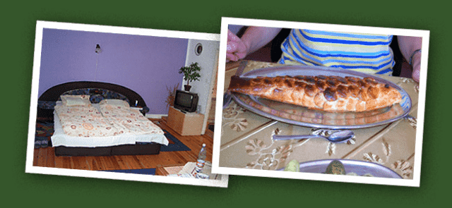 Gacówka Gospodarstwo Agroturystyczne