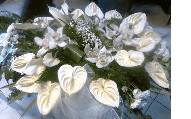 FIRMA HANDLOWO - USŁUGOWA BERNADETA FUCHS