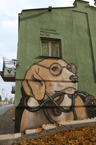Adam Fornal Przychodnia Weterynaryjna FORVET