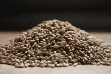 Firma Szmidt Jan Szmidt