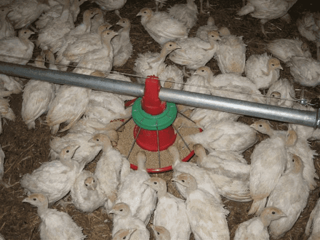  Wyposażanie Ferm "FARMA" Śliwiński, Dobies Sp.j. 