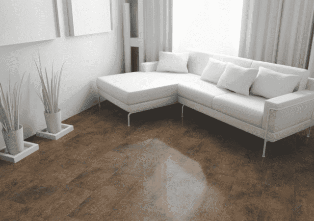 ELPACT LTD Sp. z o.o.