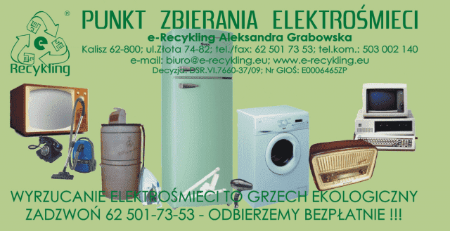 e-Recykling Aleksandra Grabowska