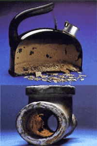 MONIKA CINGLEWICZ AQUA LIFE