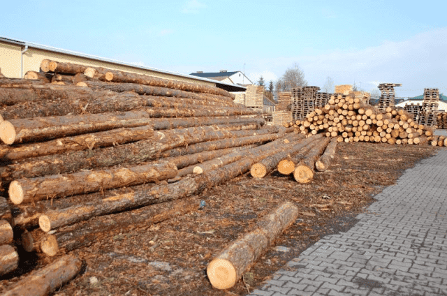 Marian Grzyb ZPH "Drewtex"