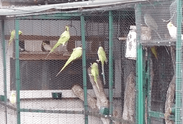 Dom Rodzinny "Jesień" Marta Rajewicz