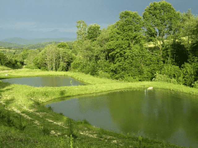 EL COYOTE Domki całoroczne z kominkiem