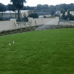 DEVIR. Wiesław Czerwonka