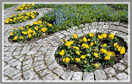 "Darom" Dariusz Migda