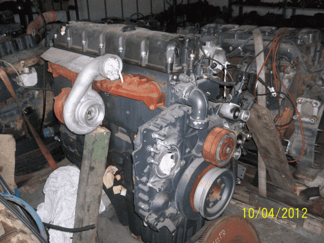 DANSEB   Katarzyna Groszkowska