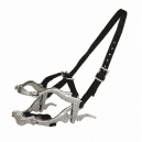 Czempion FHU Solarz Bogdan