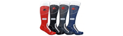 Czempion FHU Solarz Bogdan