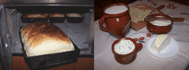 AGROTURYSTYKA CHMIEL