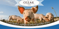 CEZAR Sp.j.