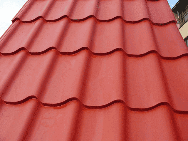 Blacho-Trapez Joanna Duda