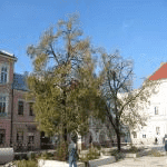 BIOTOP-Service Sp. z o.o.