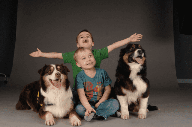 BARITUS-LECZNICA WETERYNARYJNA