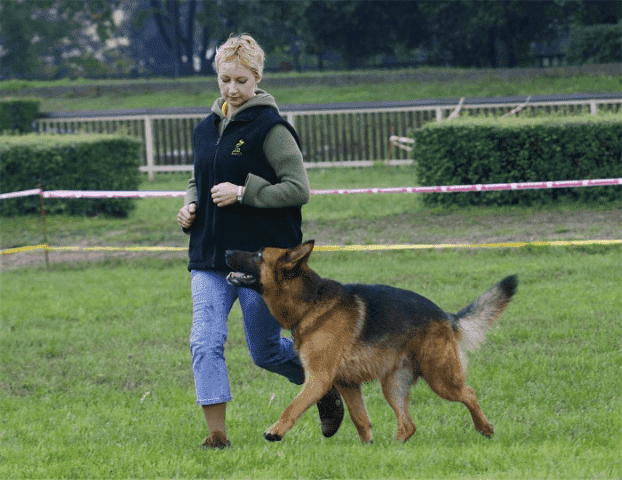 BARITUS-LECZNICA WETERYNARYJNA