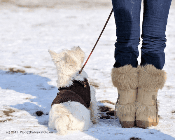 BARITUS-LECZNICA WETERYNARYJNA